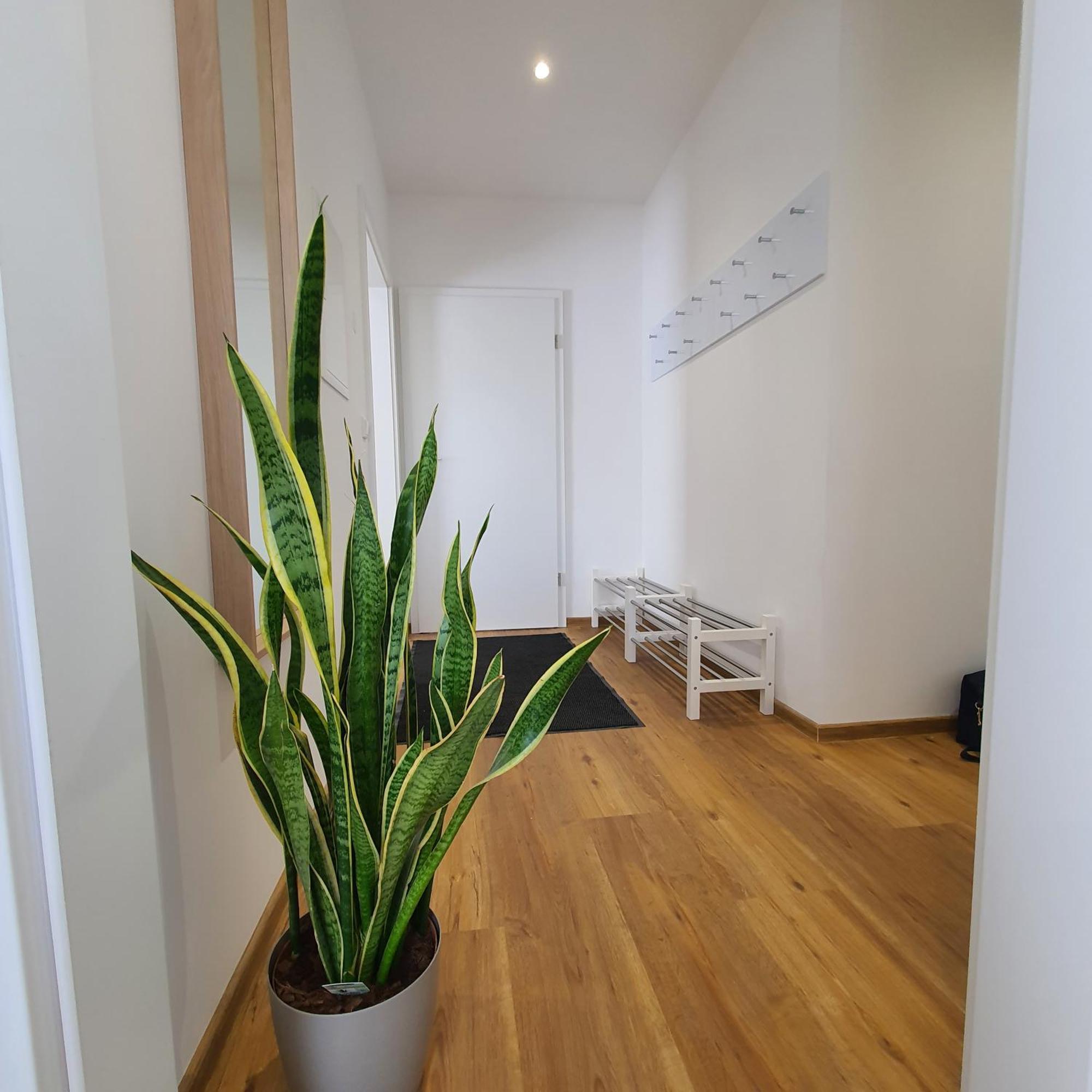 Apartamento Laineckerstrasse 8 In 95445 Bayreuth Exterior foto